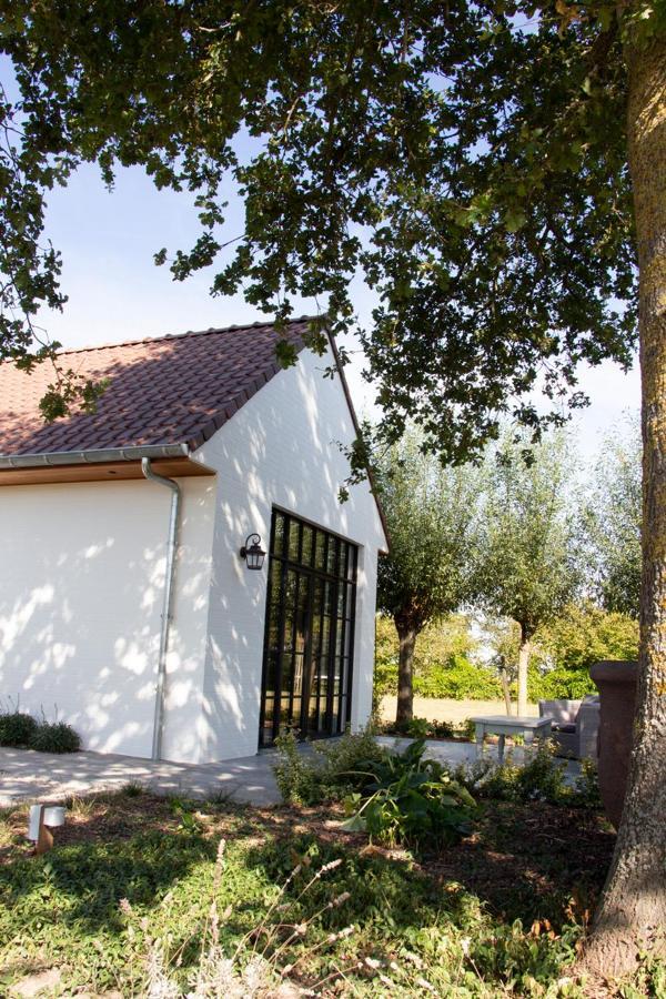 Madelette B&B Moorslede Dış mekan fotoğraf